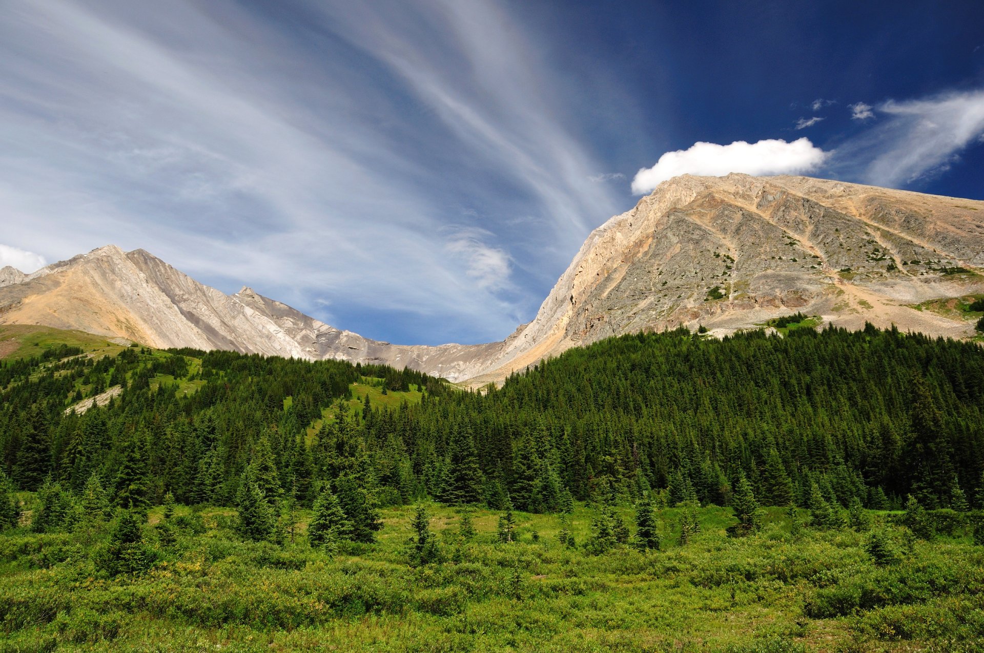 kananaskis alberta canadá cielo montañas bosque