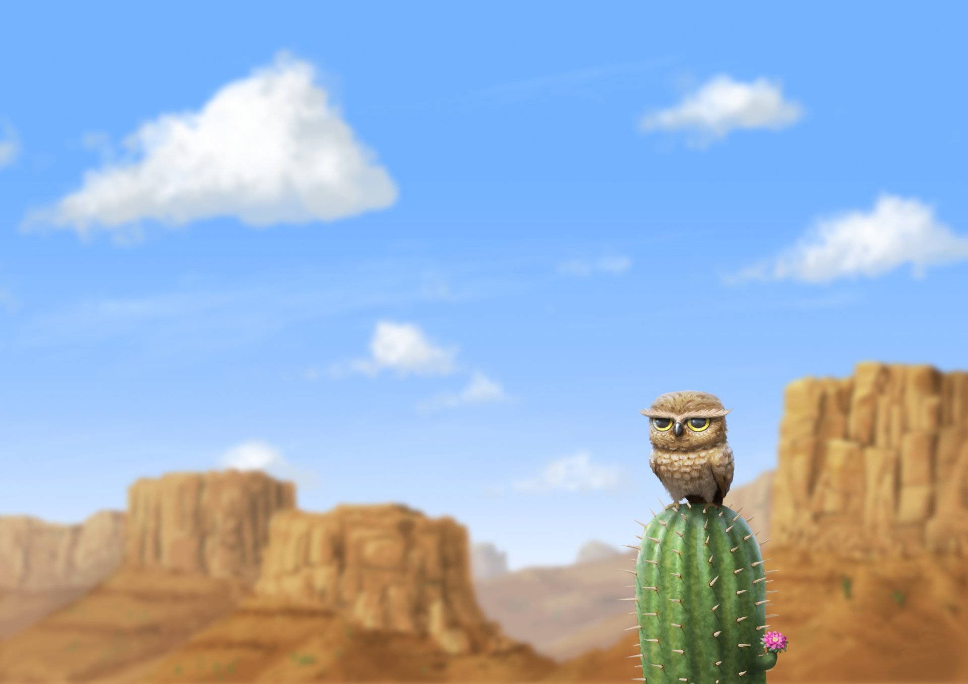 owl cactus desert mountain rock