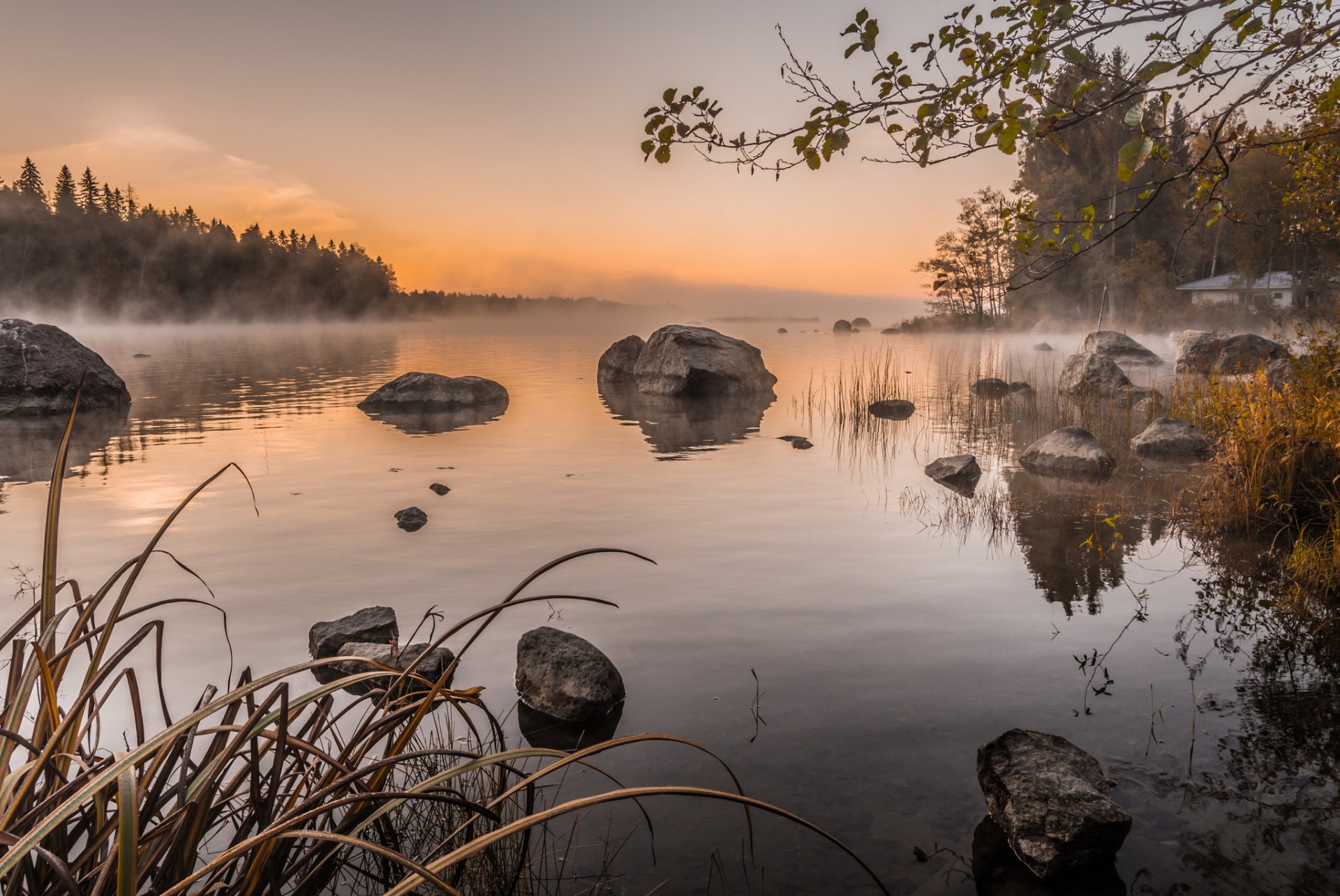 cielo mañana árboles niebla piedras lago