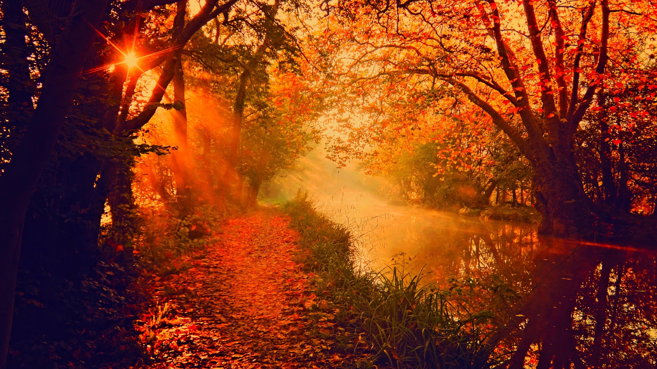 nature sky river water forest park trees leaves colorful autumn fall colors walk mountain