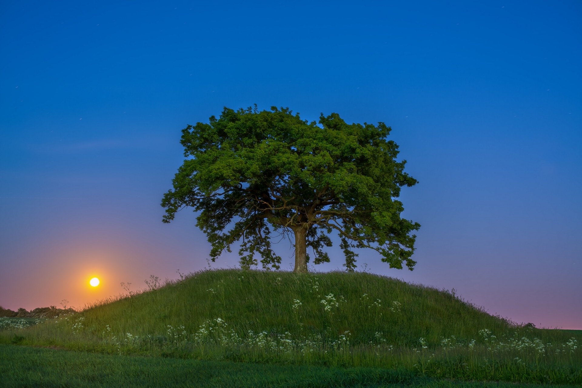 schweden skåne sonnenuntergang baum hügel