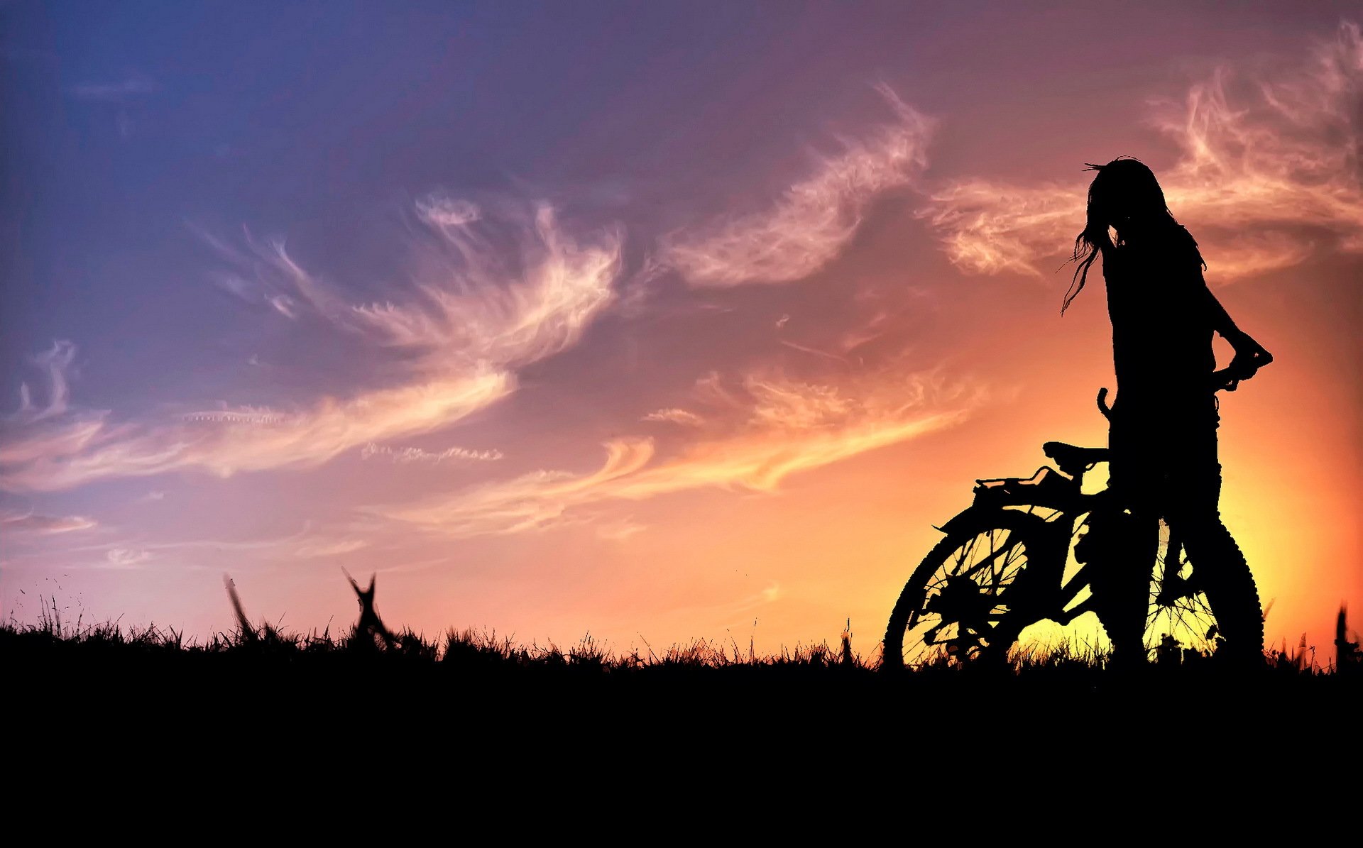 sommer himmel silhouette sonnenuntergang