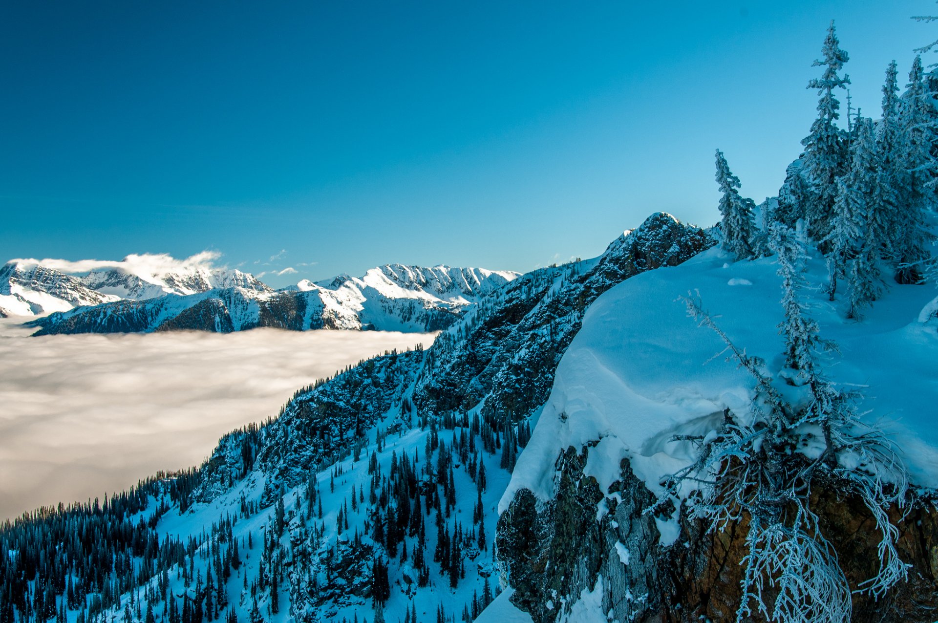 ciel montagnes brouillard hiver neige arbres