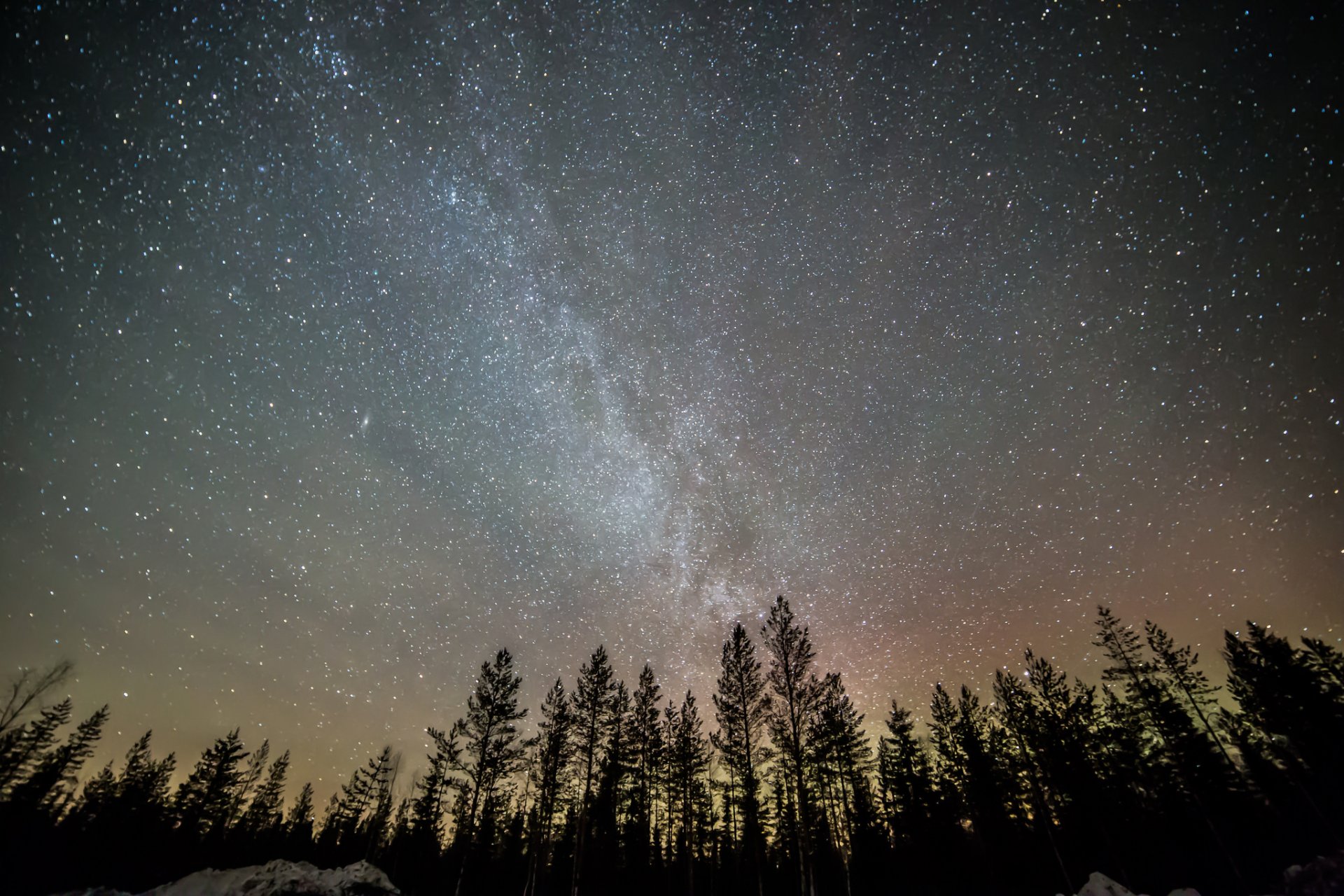 vía láctea noche estrellas cielo árboles