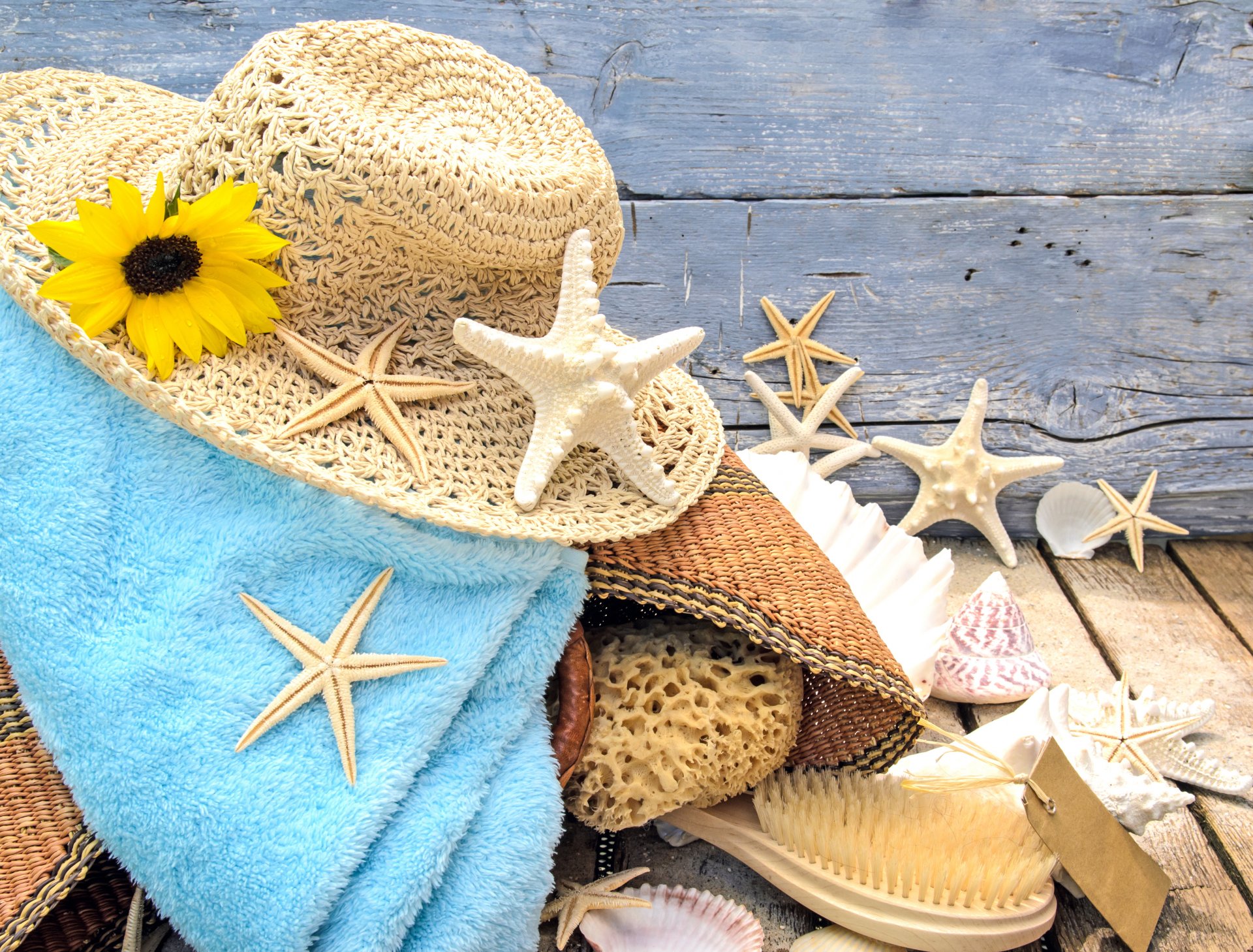 coquillages étoiles de mer plage sable arbre étoiles chapeau accessoires