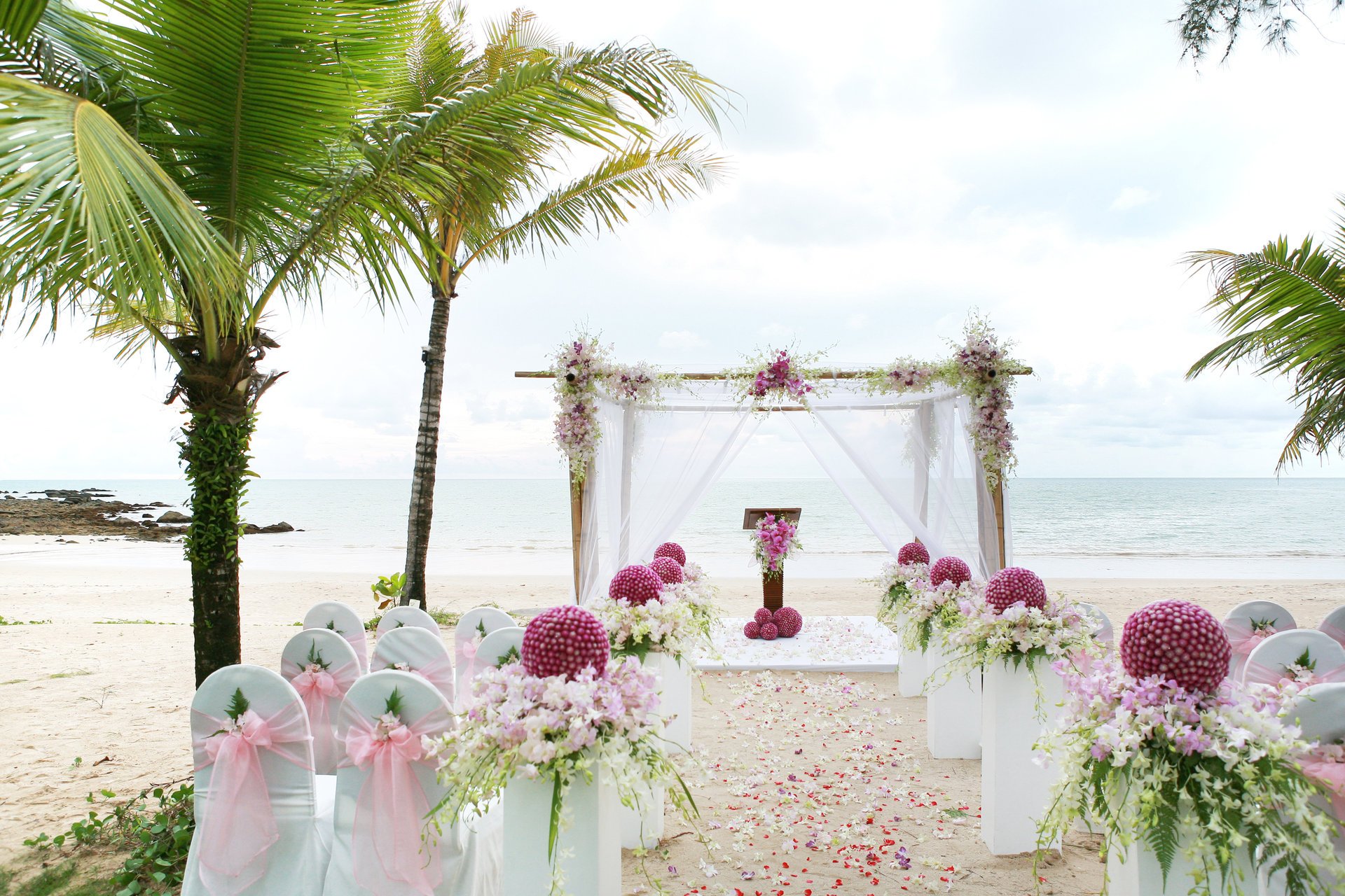 nature tropiques mer côte gazebo vases fleurs