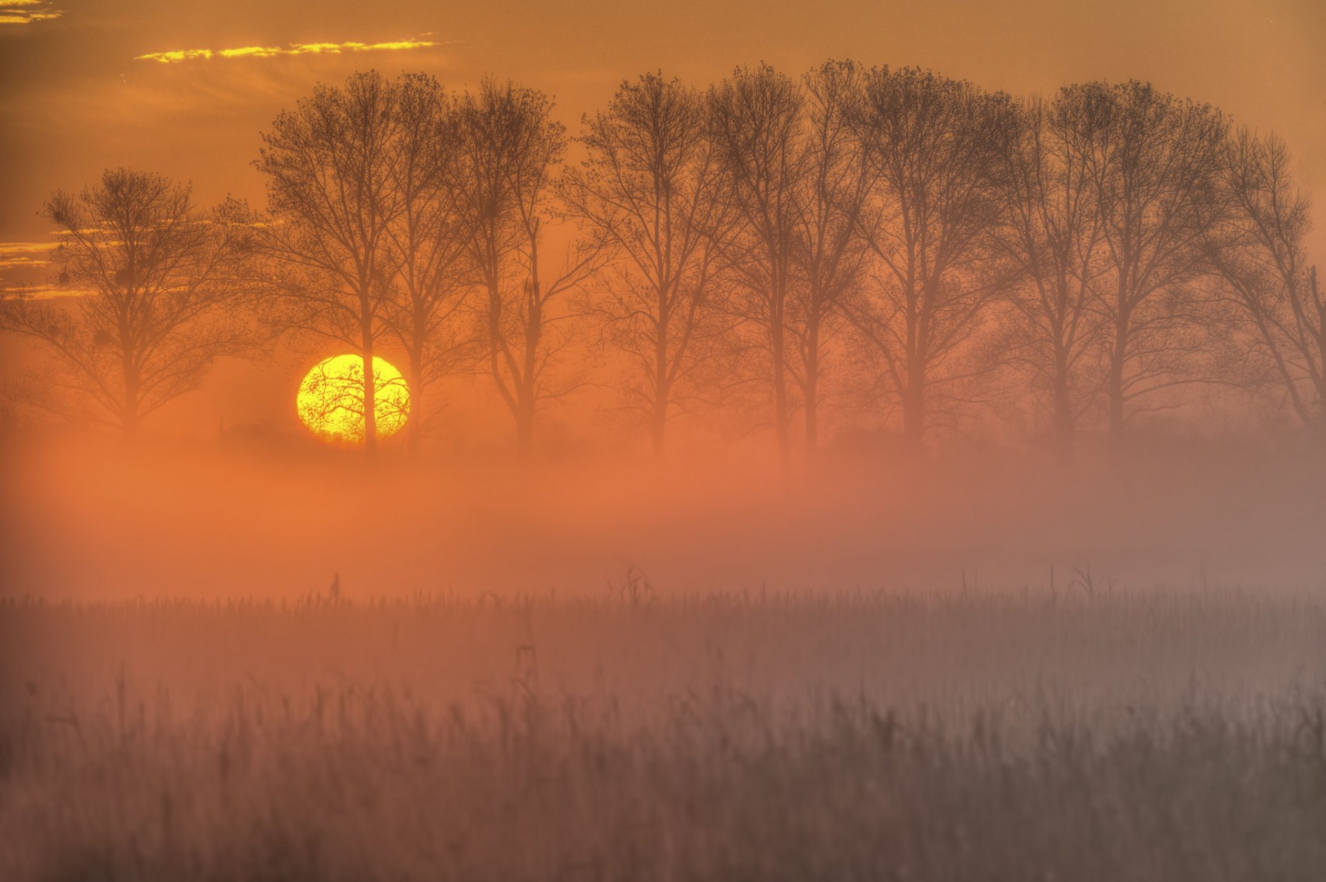 ky sun sunset tree the field autumn