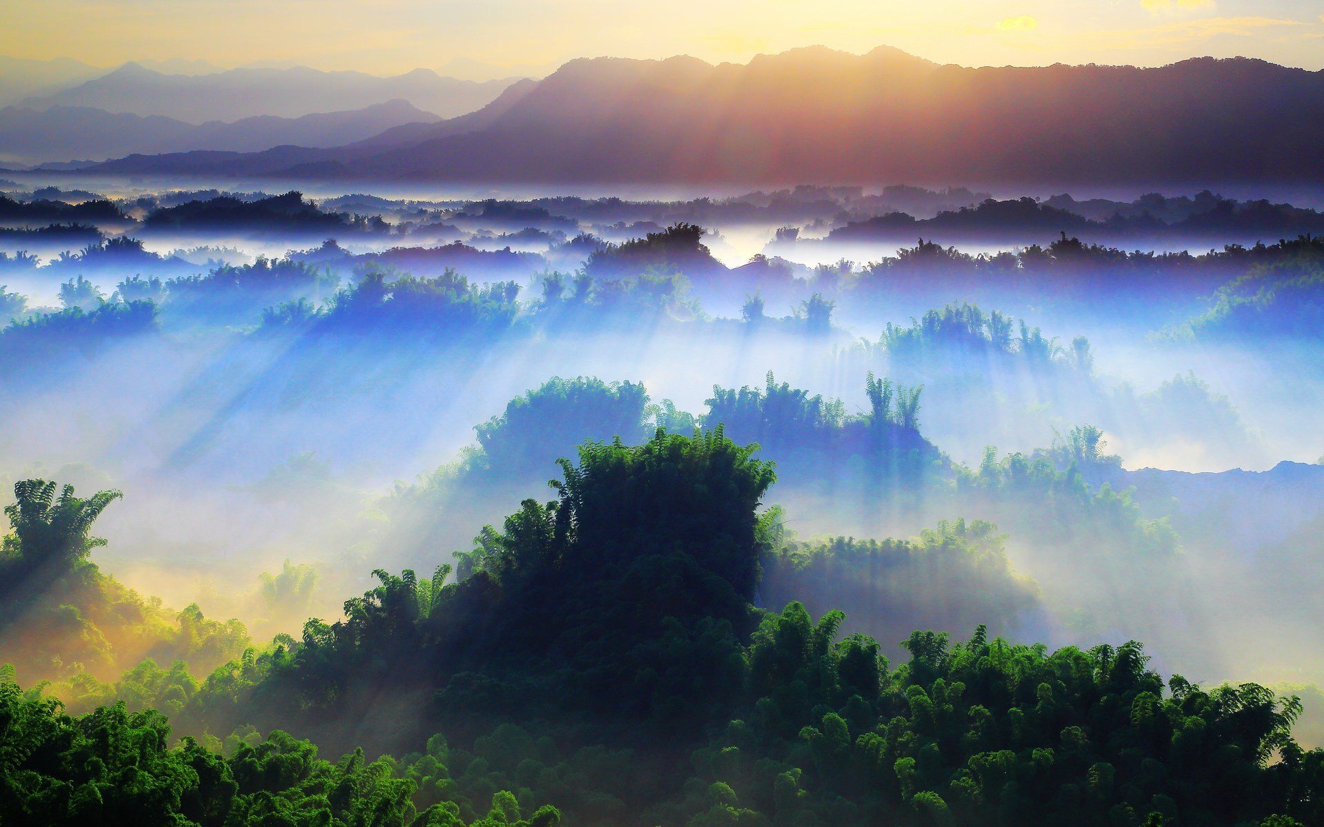 natura paesaggio albero alberi giorno mattina sole raggi bellezza