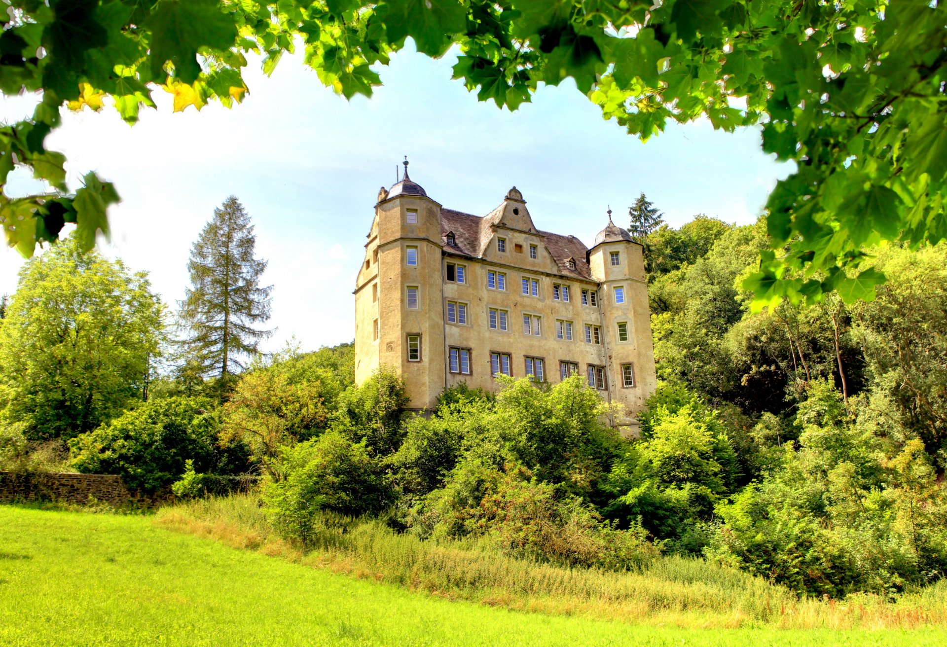 deutschland schloss grün gras büsche bäume zweige laub