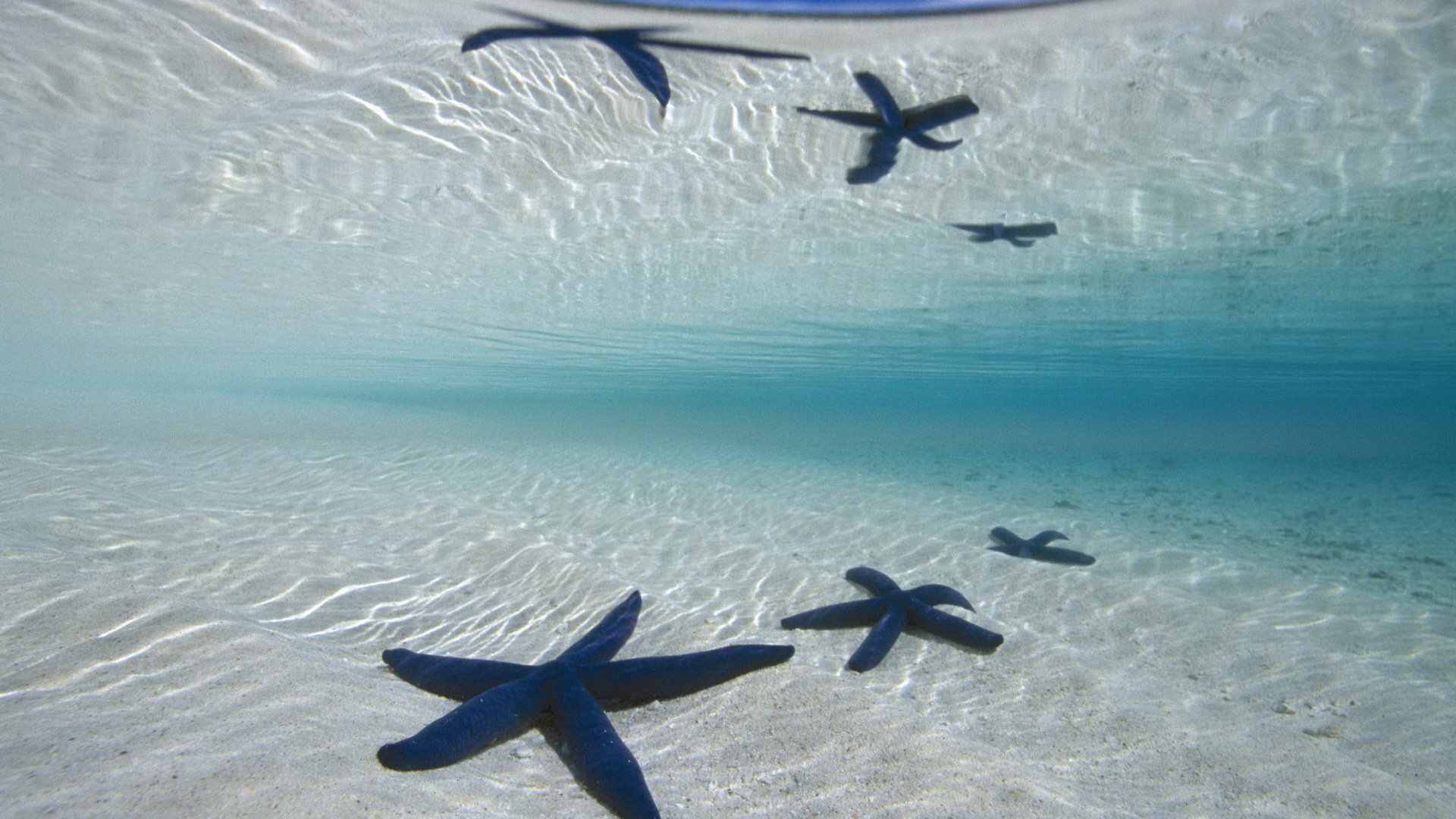 océan eau fond sable