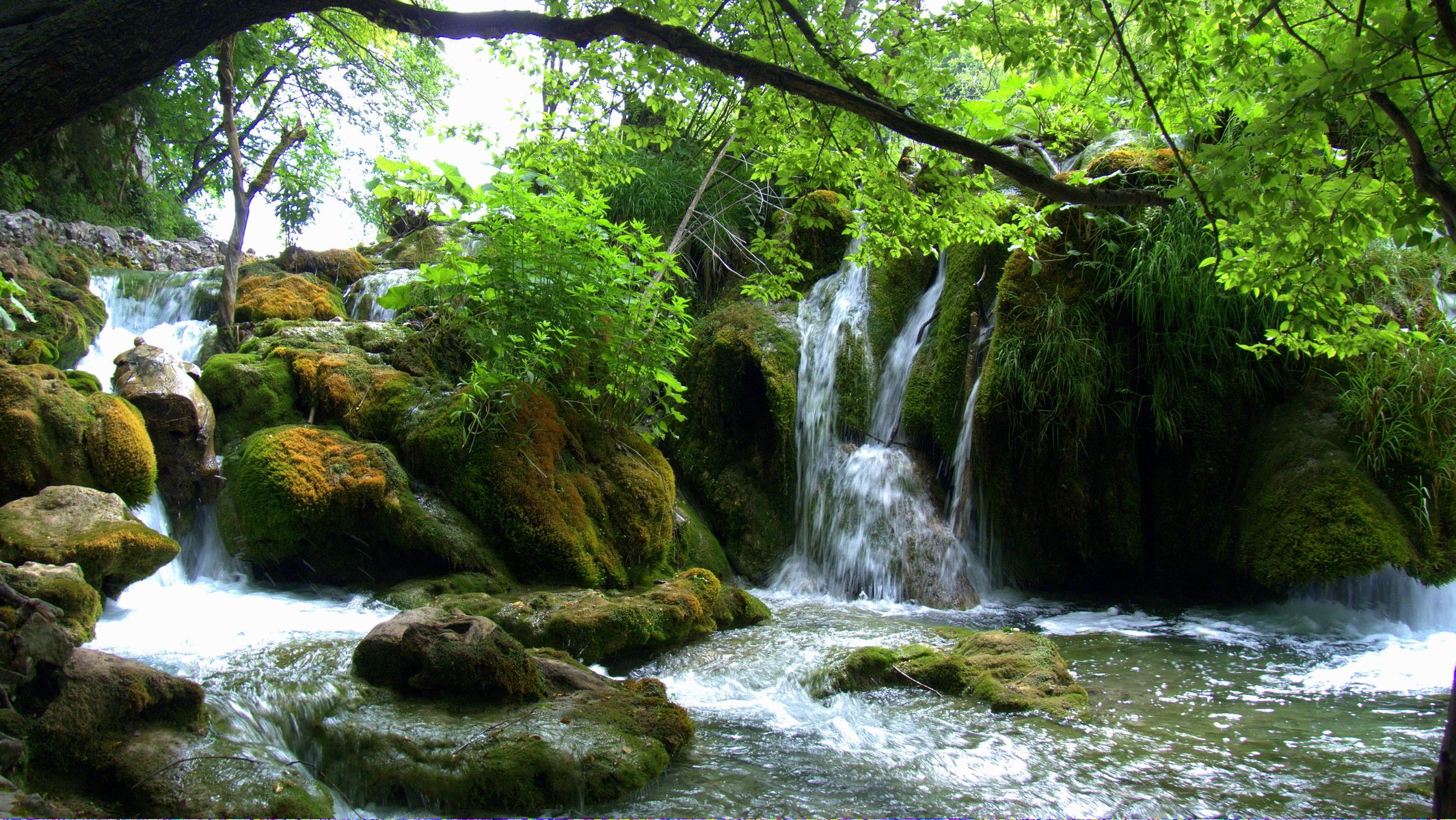 cascadas lagos de plitvice croacia piedras musgo vegetación ramas hojas