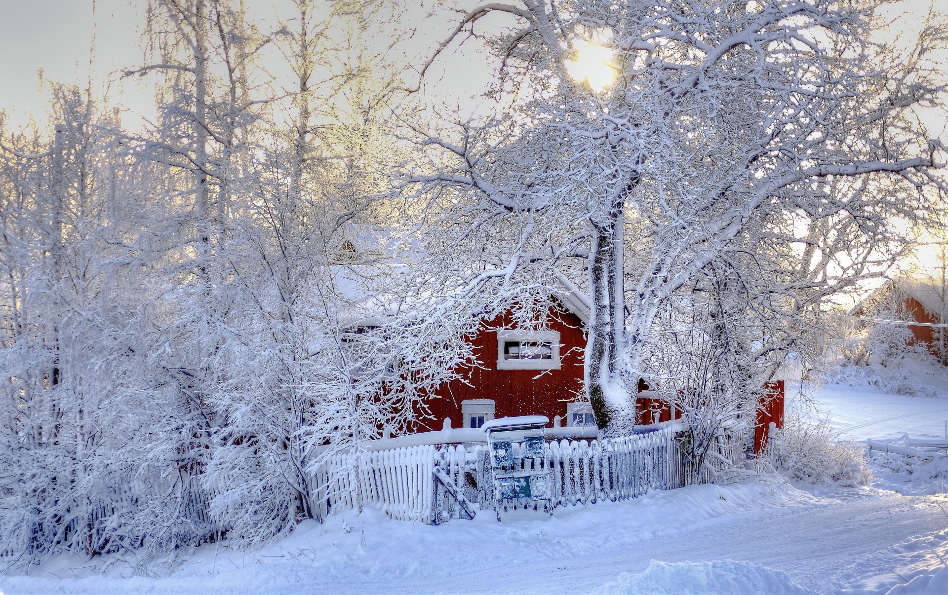 winter tree snow house nature photo