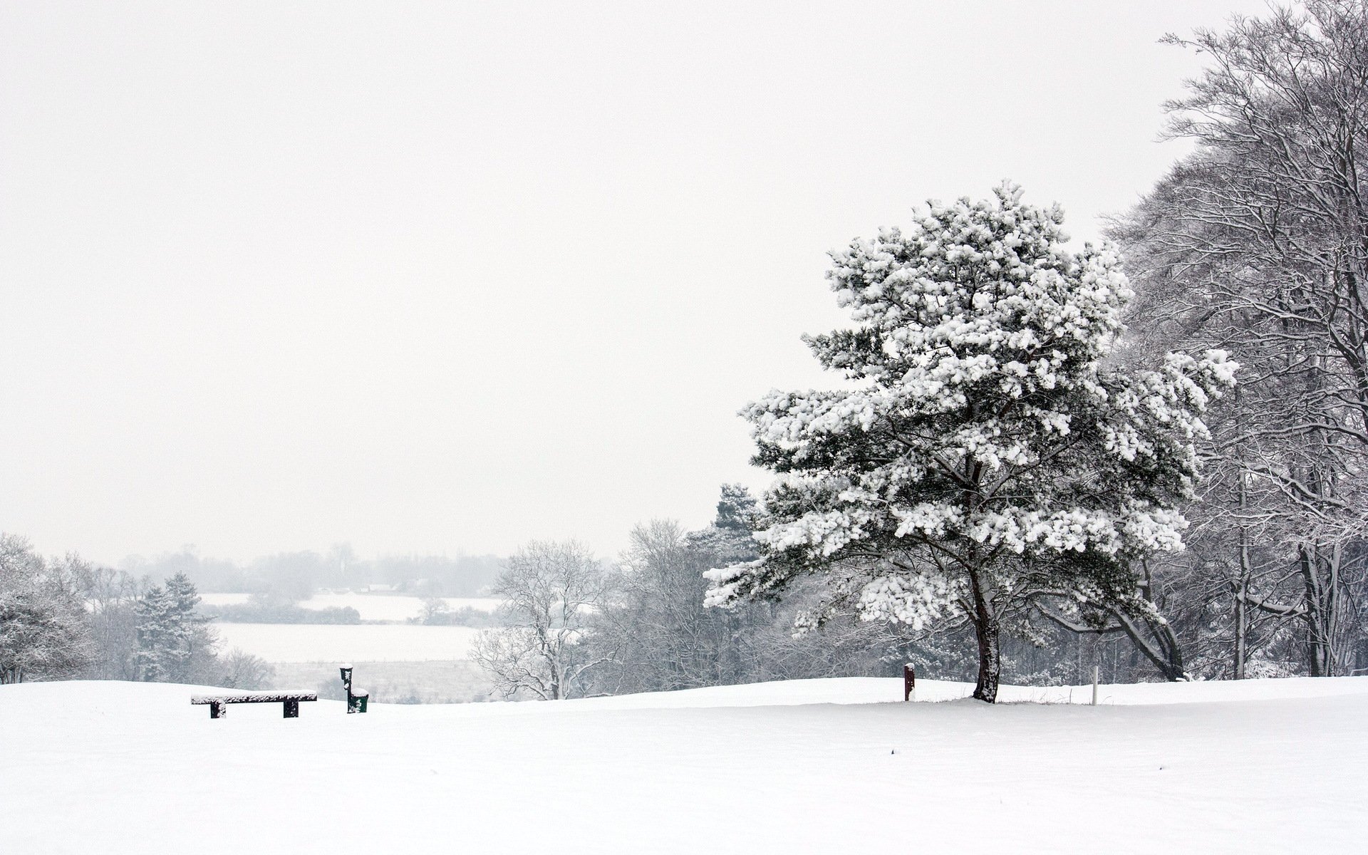 parc hiver paysage