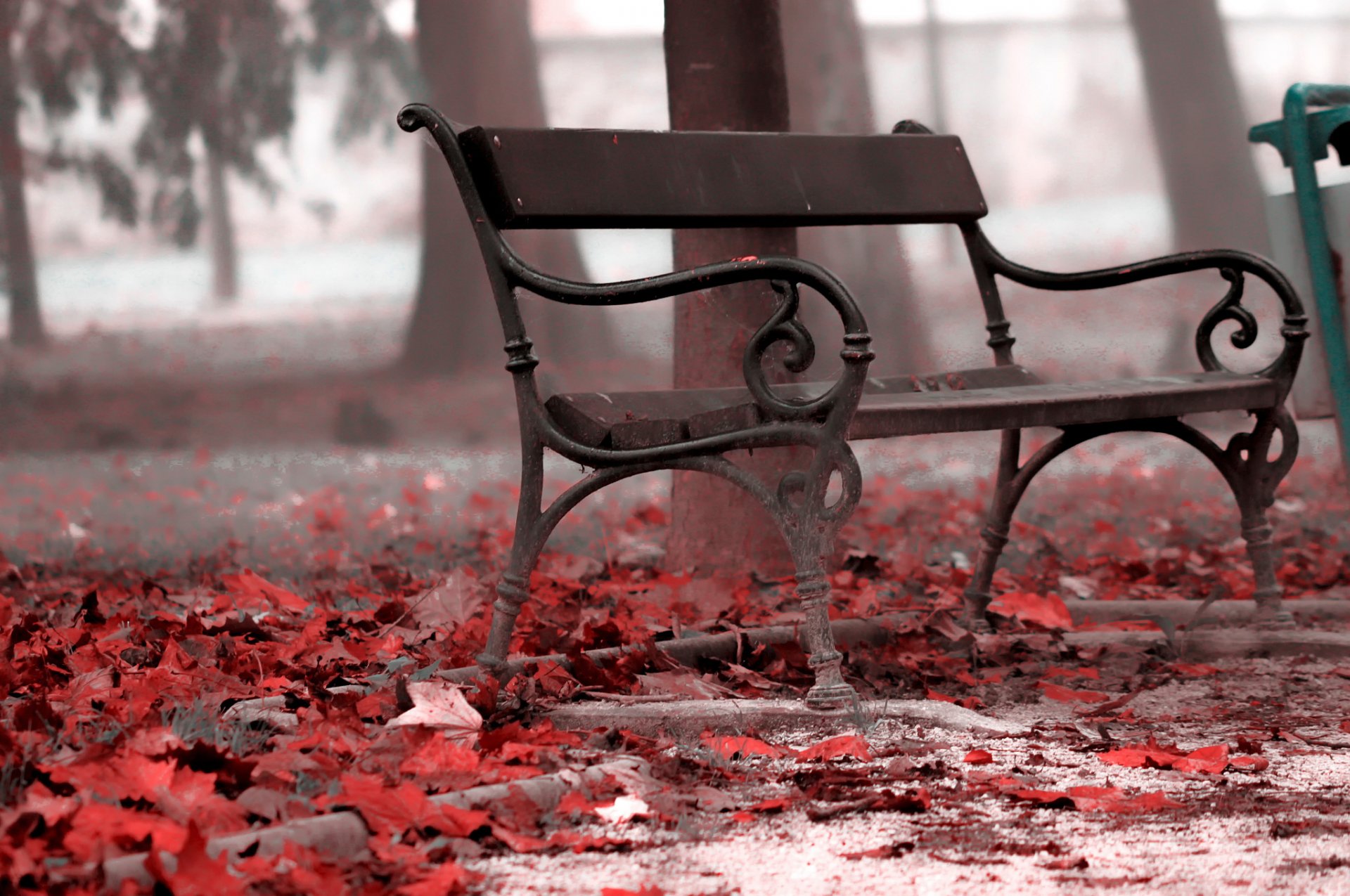 banc parc feuilles automne