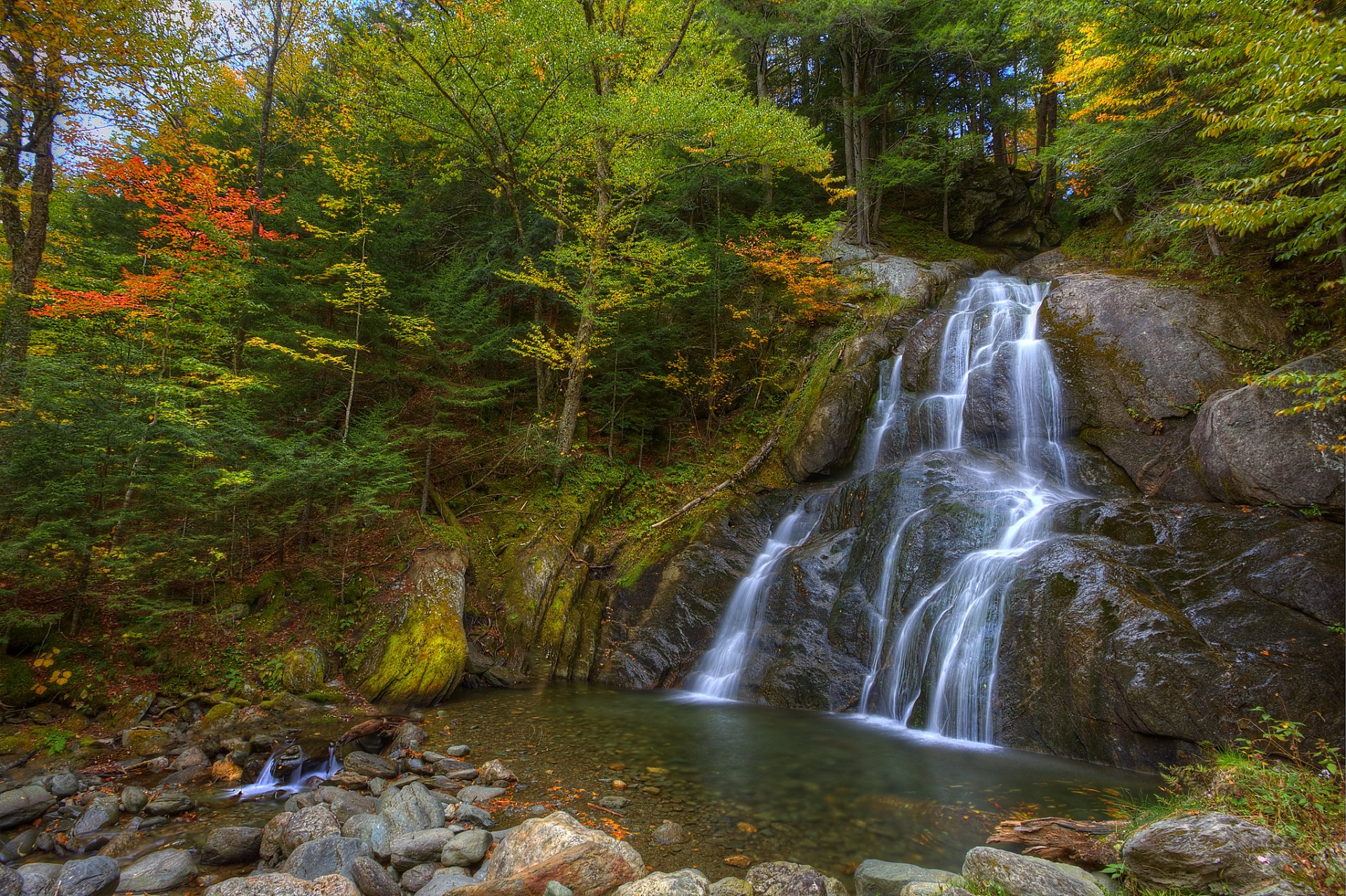 bosque árboles otoño roca piedras cascada