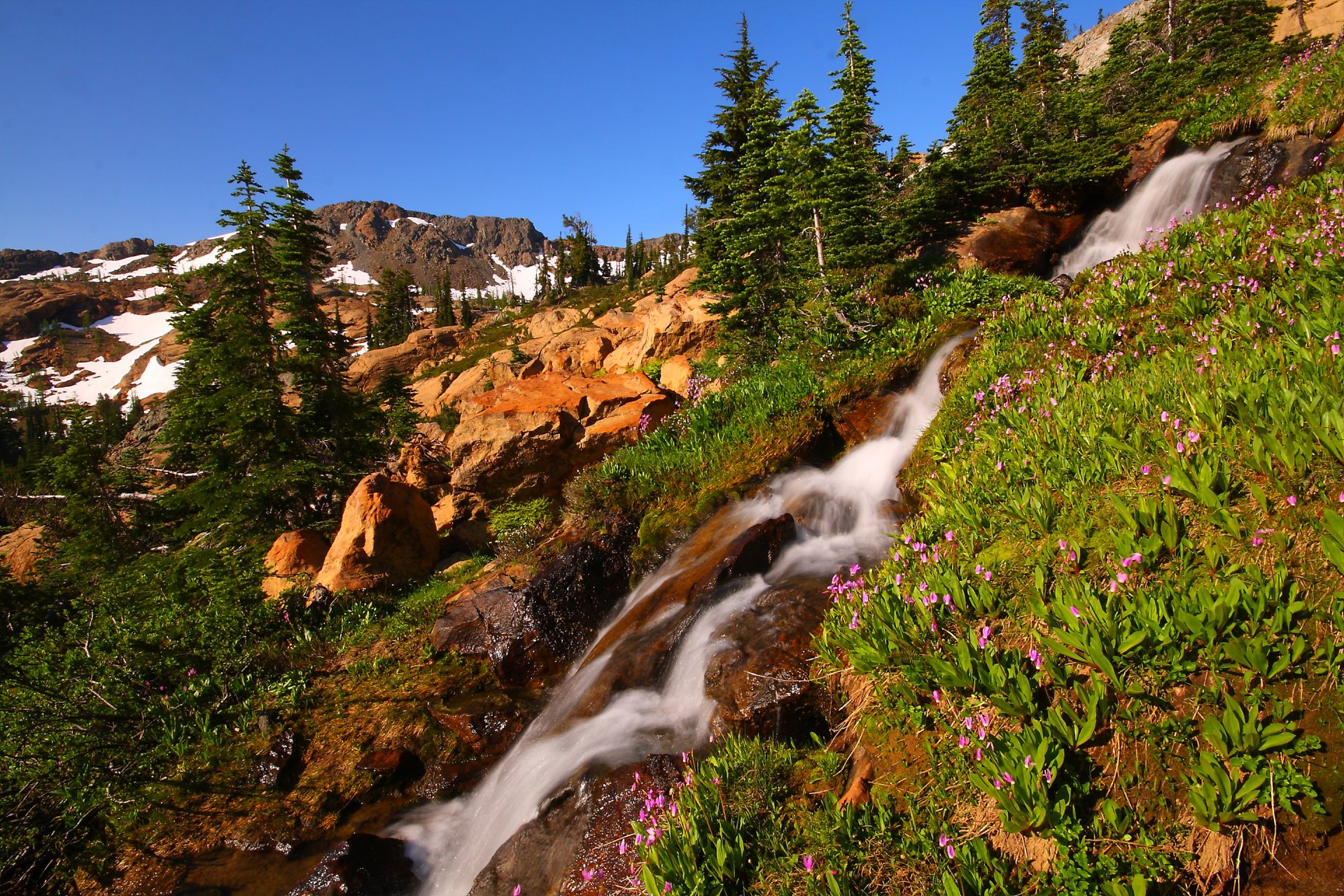 cielo montañas pendiente piedras flores arroyo arroyo cascada árboles nieve