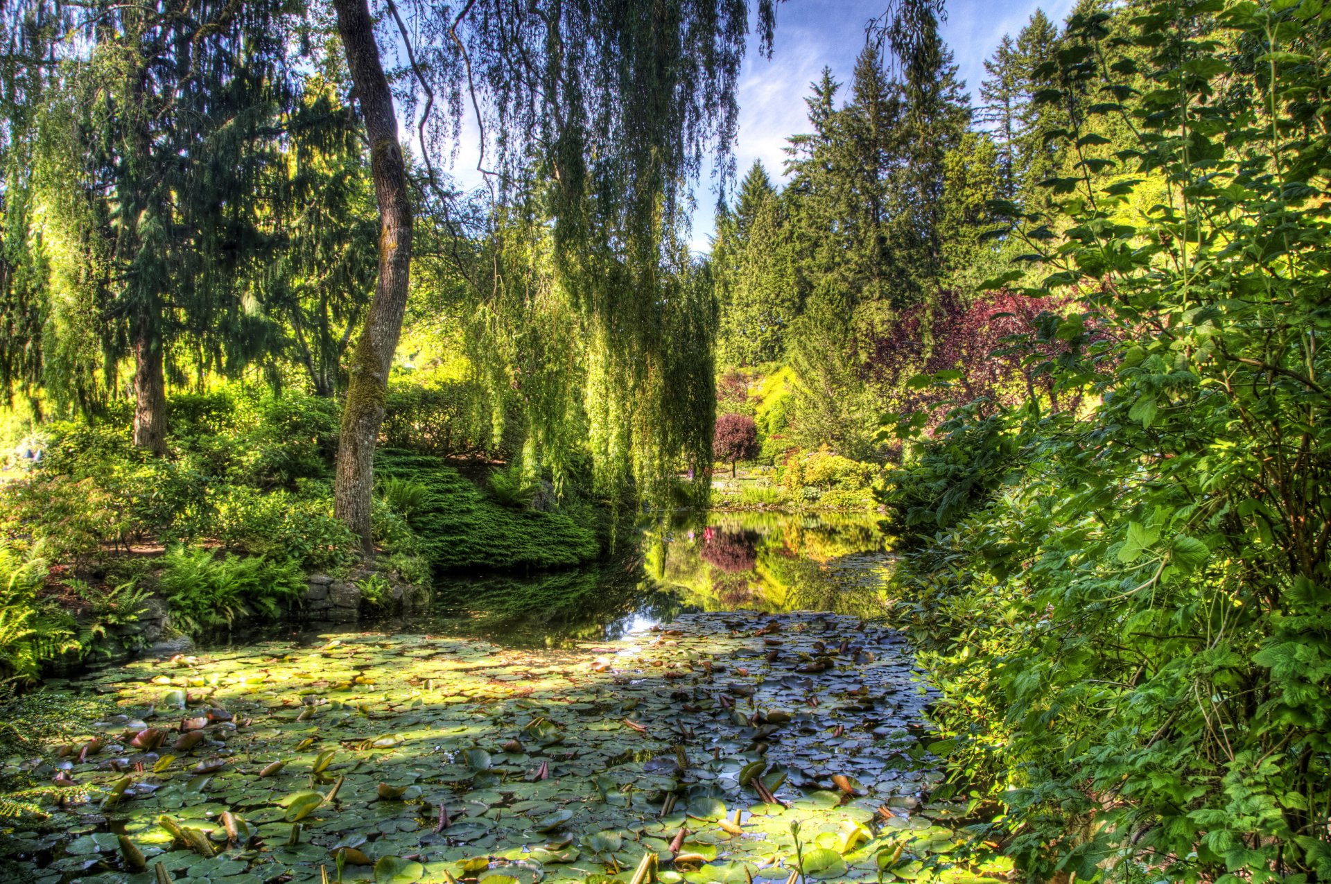 canadá butchart gardens victoria jardín estanque vegetación arbustos árboles