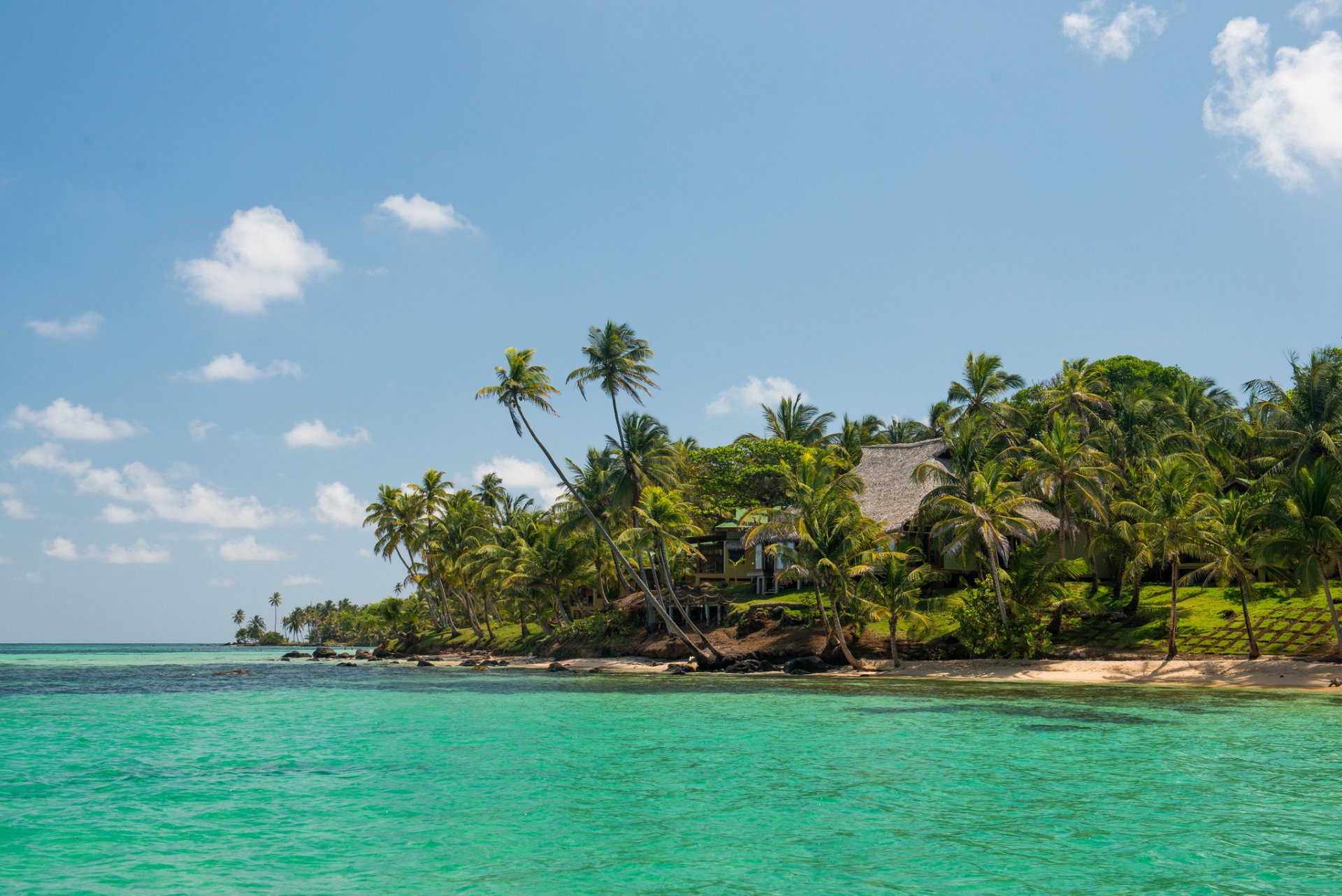 tropics sea beach palm house coast