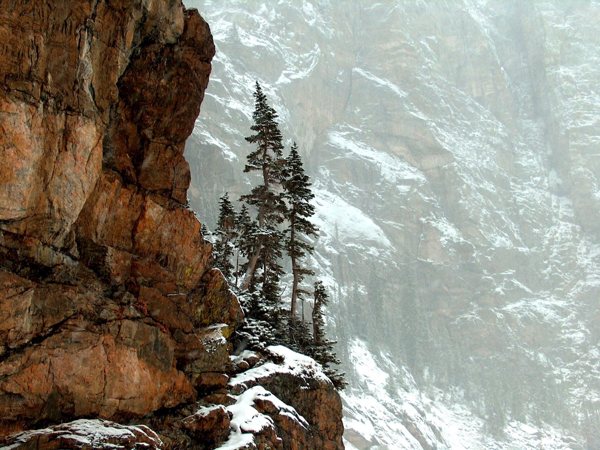 montagne rocce alberi natura parco nazionale delle montagne rocciose colorado