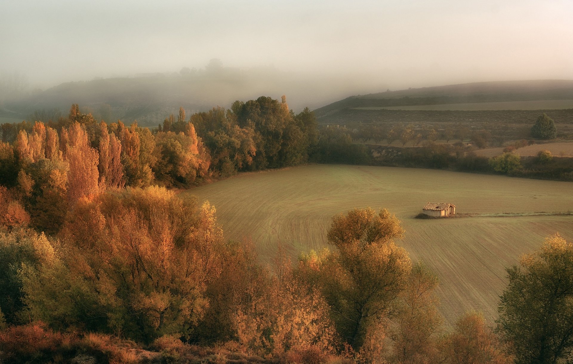 la cabaña jesień pole mgła