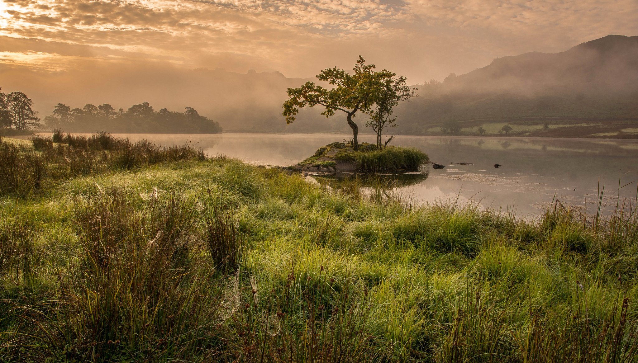 angleterre lac matin herbe montagnes arbres brouillard