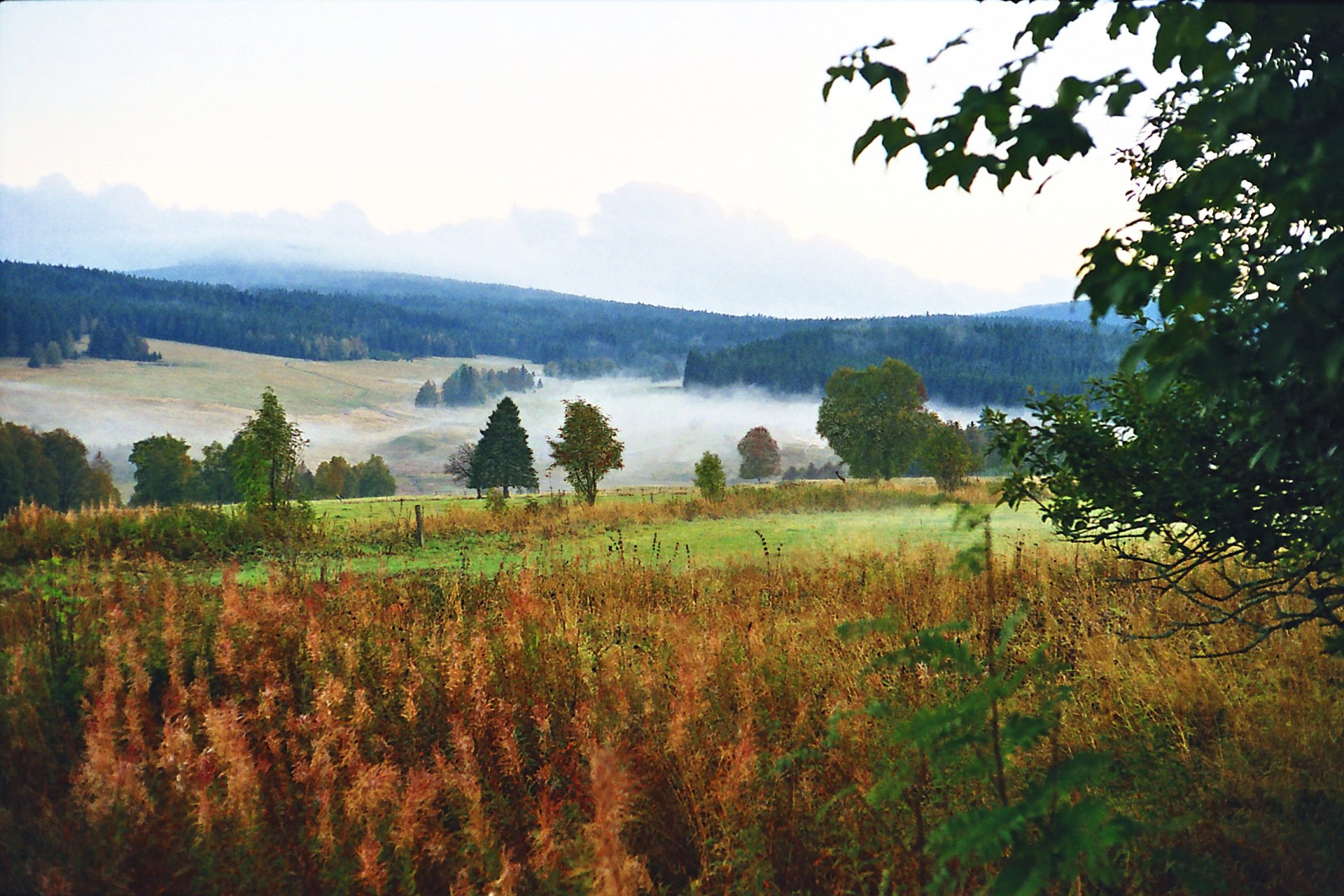 berge wald nebel natur böhmerwald kvilda chranena oblast šumava horská kvilda