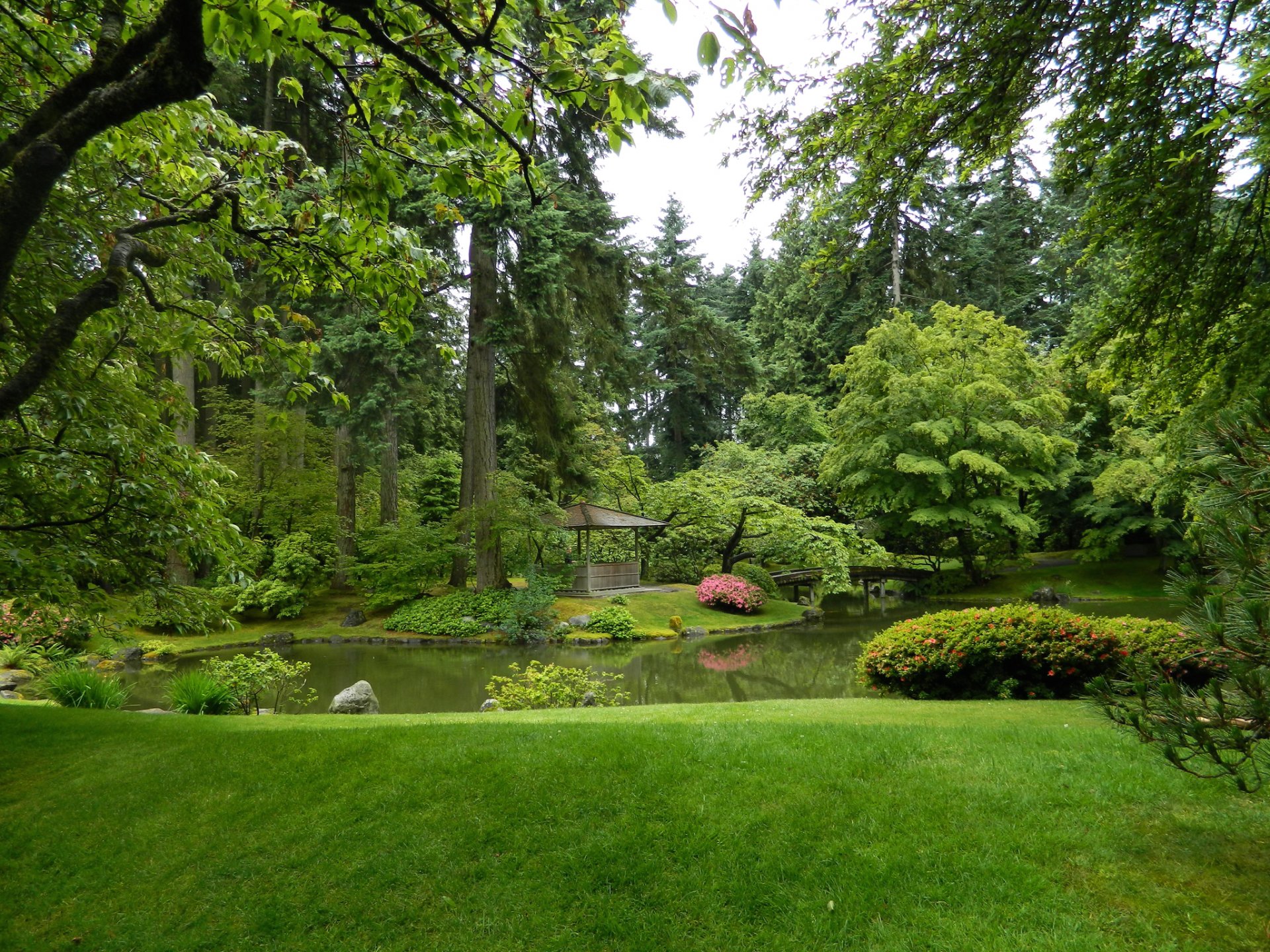 canadá nitobe jardín vancouver jardín estanque pérgola hierba arbustos árboles vegetación