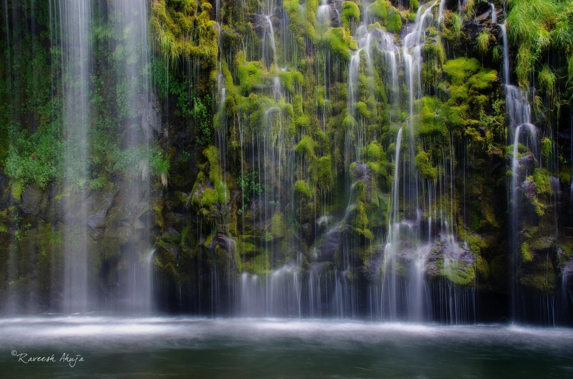 cascata lago natura giungla foresta piante