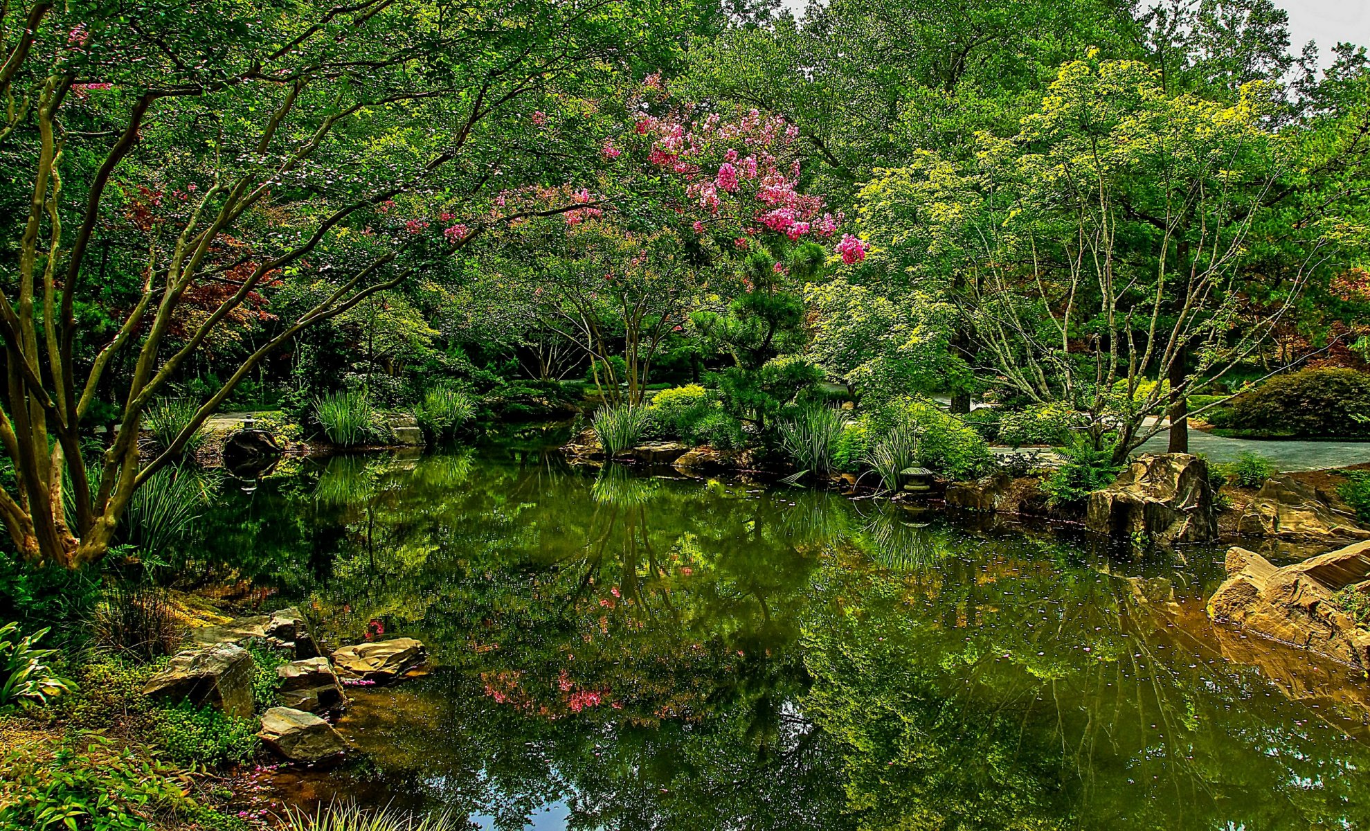 usa park staw gibbs ogrody krzewy natura zdjęcia