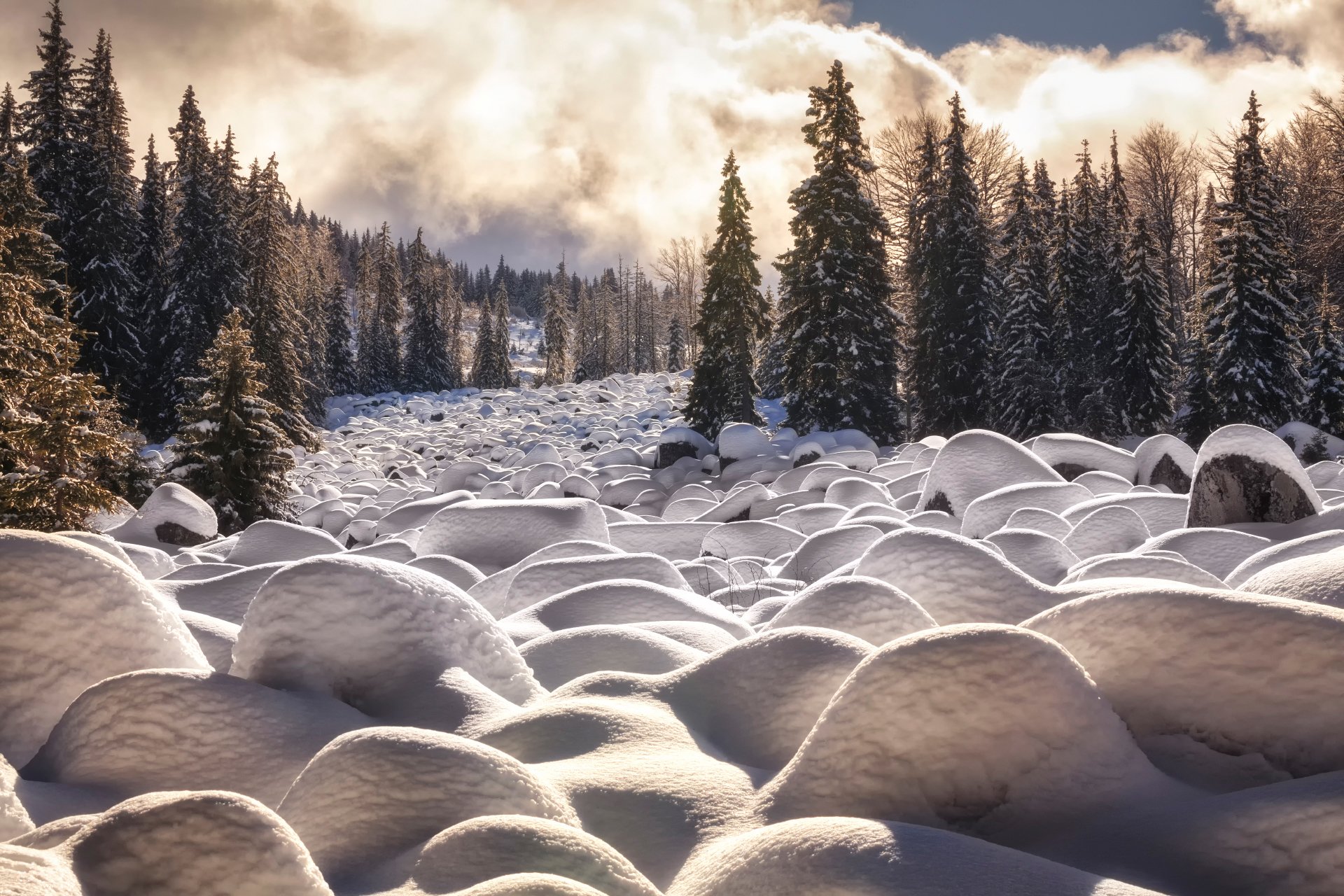 cascade d hiver arbres neige