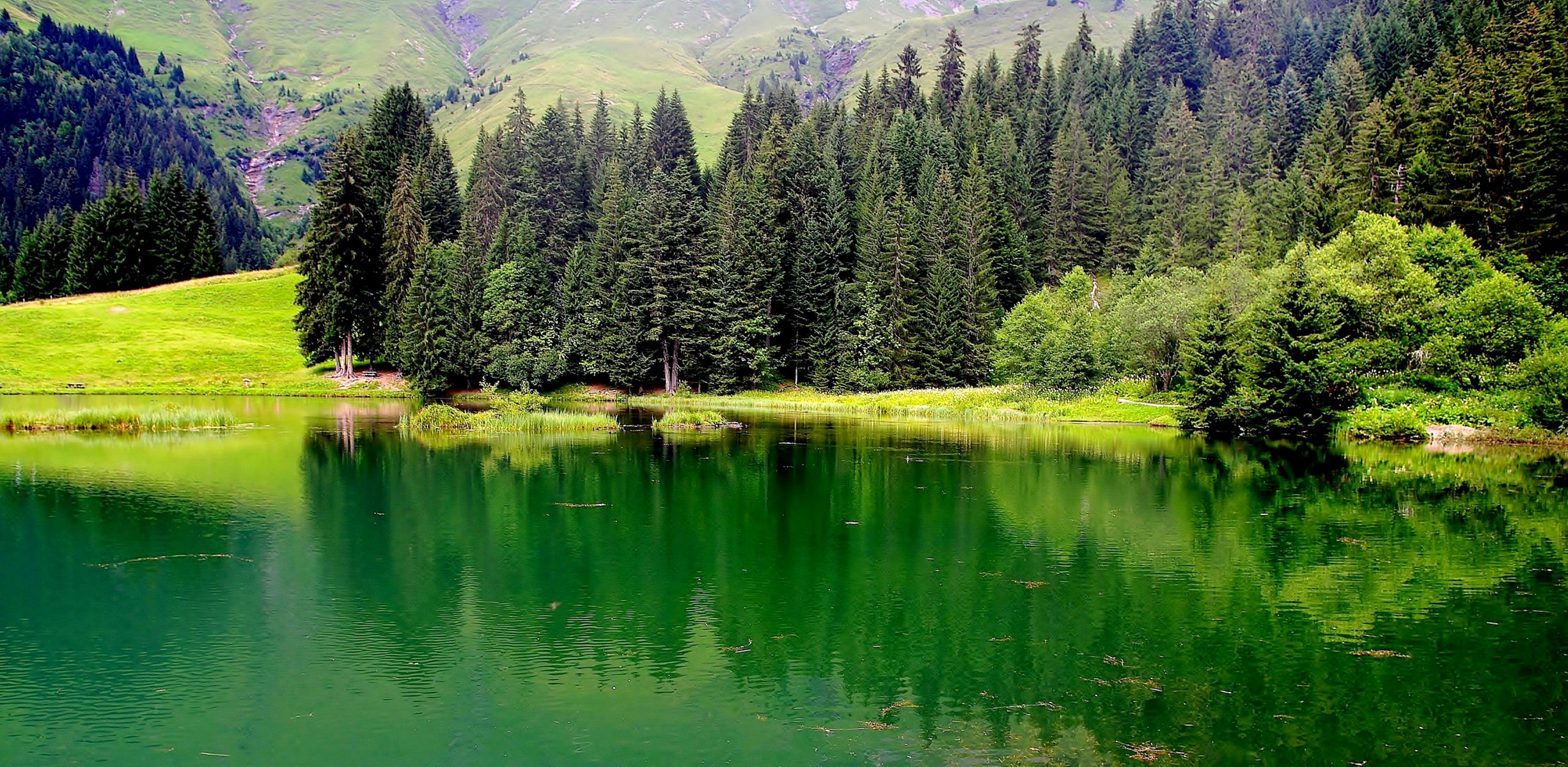 francia alta saboya lago árboles montañas hierba