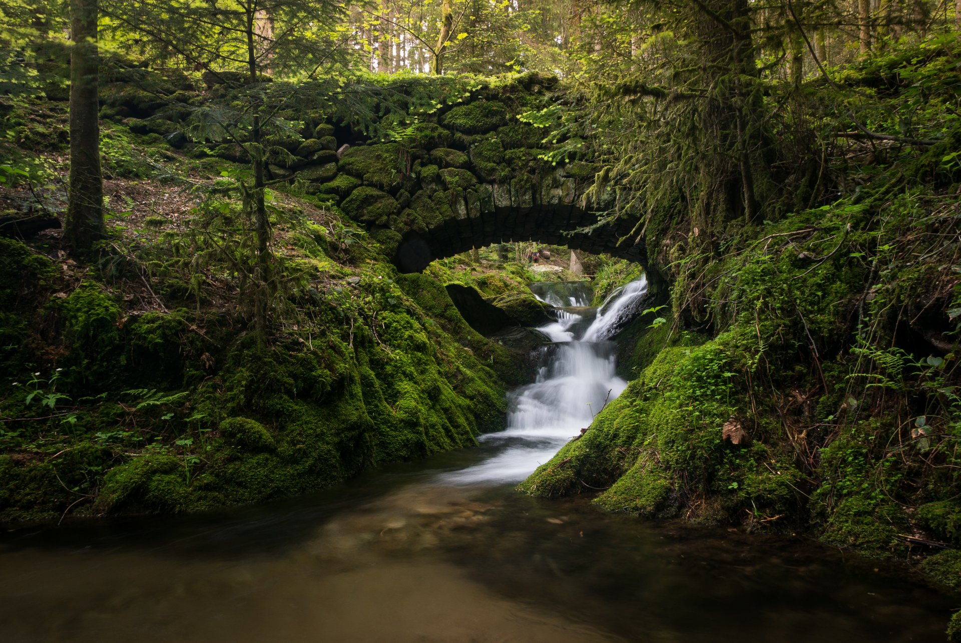 black forest germany black forest cascade stream river bridge forest