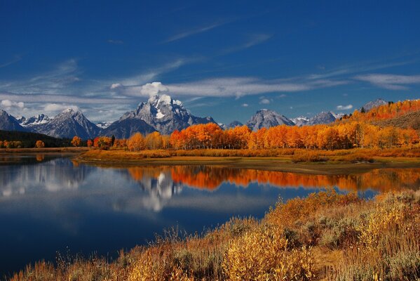 Paisaje de montaña con bosque de otoño