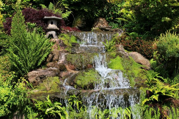 Kleiner Wasserfall im grünen Garten