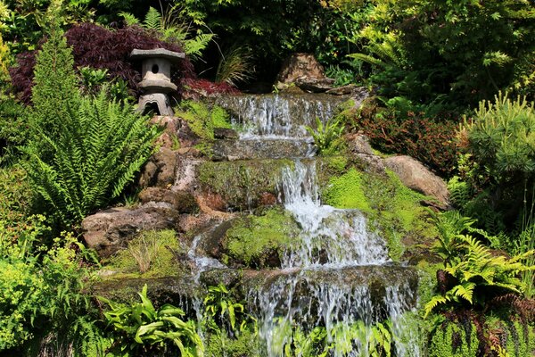 Piccola cascata nel giardino verde