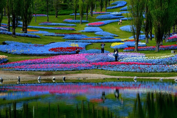 Parque japonés con un estanque transparente y macizos de flores brillantes de forma inusual