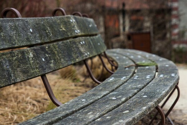 An old gray bench in front of the withered grass