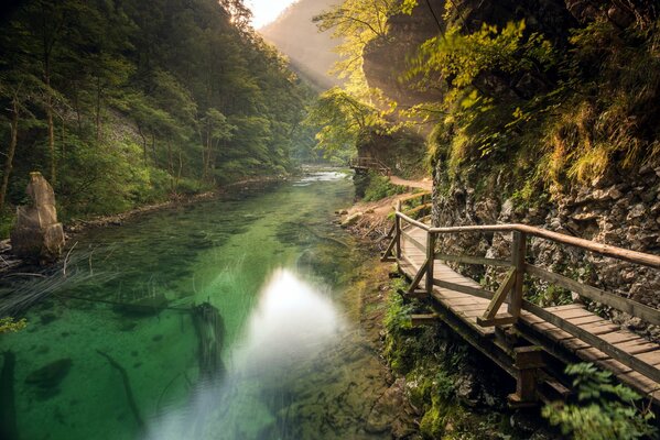 La bellezza della natura della Slovenia, vista dal Ponte