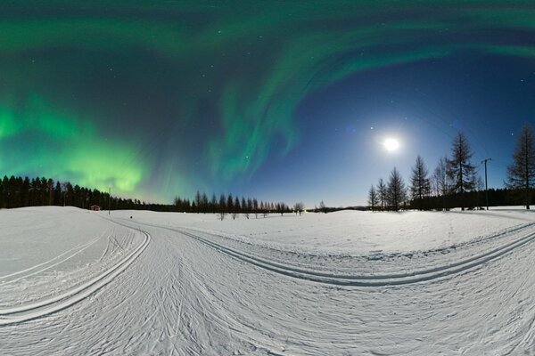 Bosque de invierno bajo la Aurora boreal