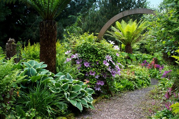 Les jardins fleuris de Mount Pleasant