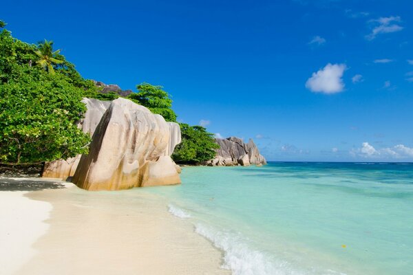 Sea. An oasis. Rocks. Tropics