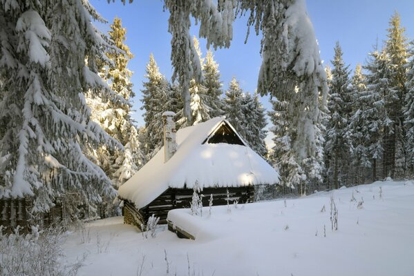 Alte Hütte im Winterwald