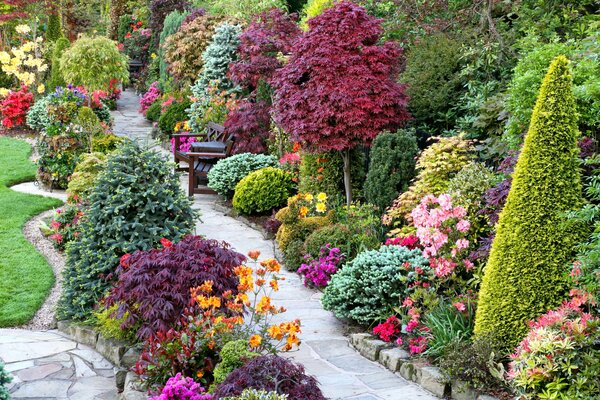 Designer garden with path and bench