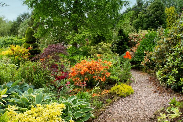 Sentier dans le jardin fleuri du Royaume-Uni