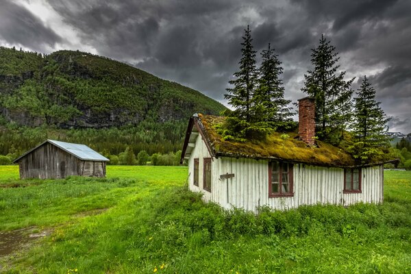 Bellezza e luminosità della natura Norvegese