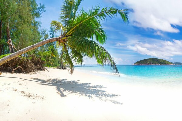 Weißer Sand und das Meer sind ein Paradies-Genuss