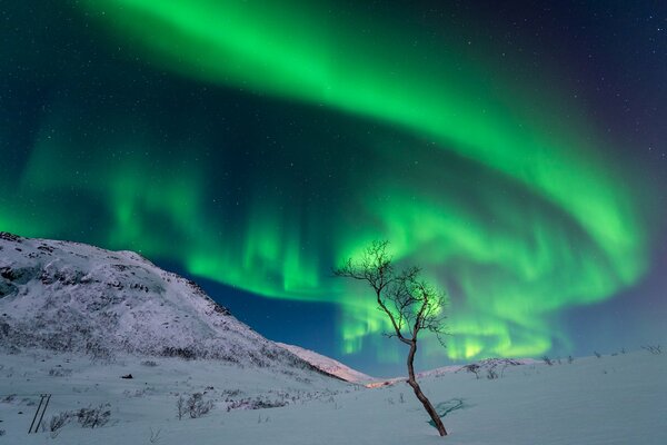 Resplandor Celestial sobre las montañas en invierno