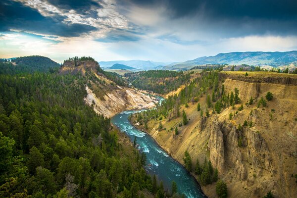 Yellowstone National Park-top view
