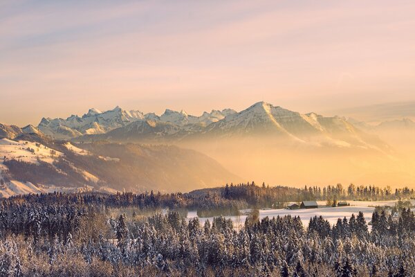 Winter forest and mountains