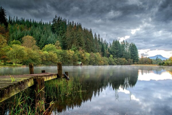 Ein kalter Morgen im Wald am See